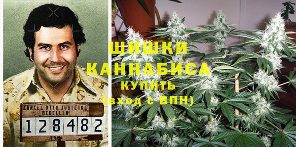 соль курить ск Новозыбков