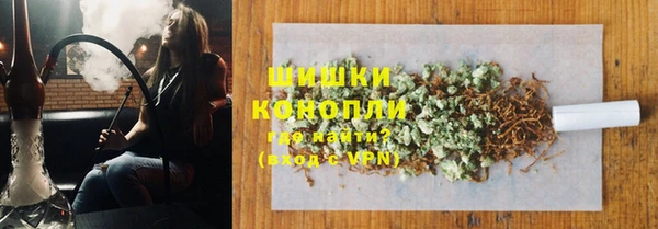 сатива Новокубанск