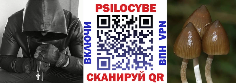 OMG сайт  Порхов  Галлюциногенные грибы GOLDEN TEACHER 